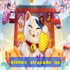 bichos atrasado na loteria dos sonhos